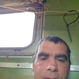 , 41, 