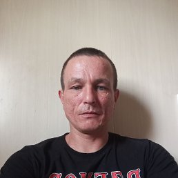 , 37, 