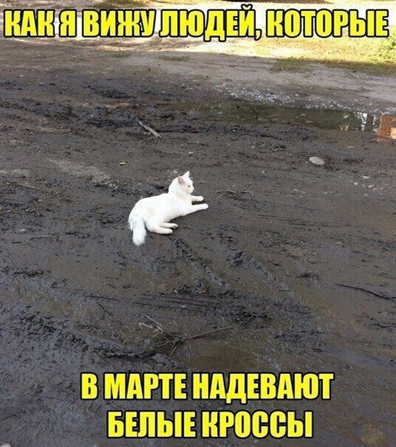 ? ,  ! - 17  2025  08:51