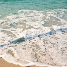 ���, ������, 37 ���