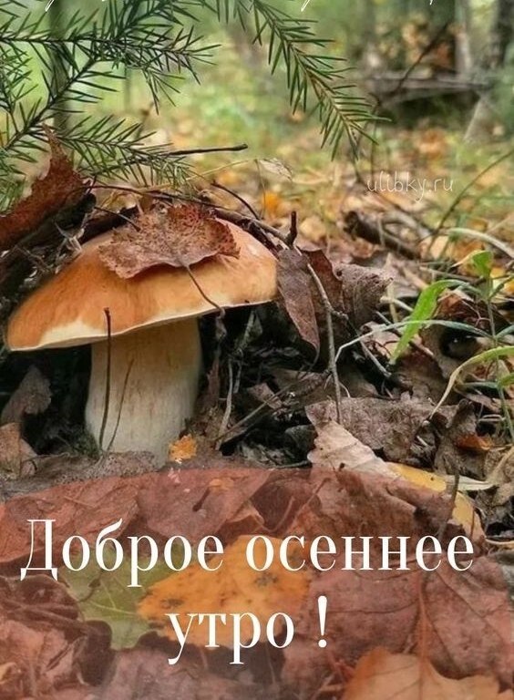   ,    . - 2  2025  23:56