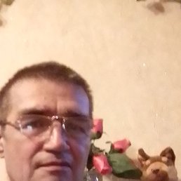 , 55, 