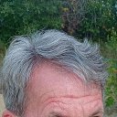 ���� ������, �����, 53 ���� - ��������� 29 �������� 2024