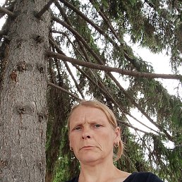 , 41, 