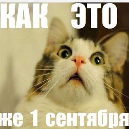 ���� �����, �����, 45 ��� - ��������� 1 �������� 2025