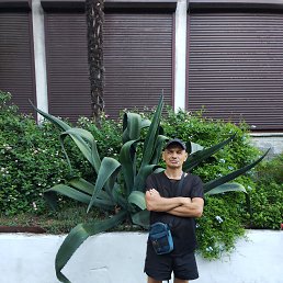  , 52, 