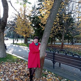 , 59, 