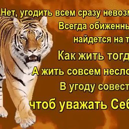 ���� ���������, �������� - ��������� 16 ���� 2026