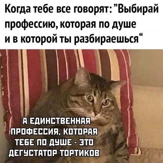   :     -  ,   ...