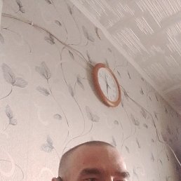 , 29, 
