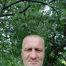 , 47, 