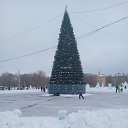 ���� ������, ����, 43 ���� - ��������� 14 ������ 2024 � ������ ���� ����������