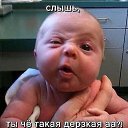 ���� �������, ������, 48 ��� - ��������� 8 ������� 2024 � ������ ���� ����������