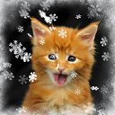 ���� �������, �����, 58 ��� - ��������� 10 �������� 2025 � ������ ���� ����������