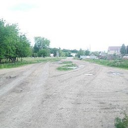 ���������, ������, 41 ���