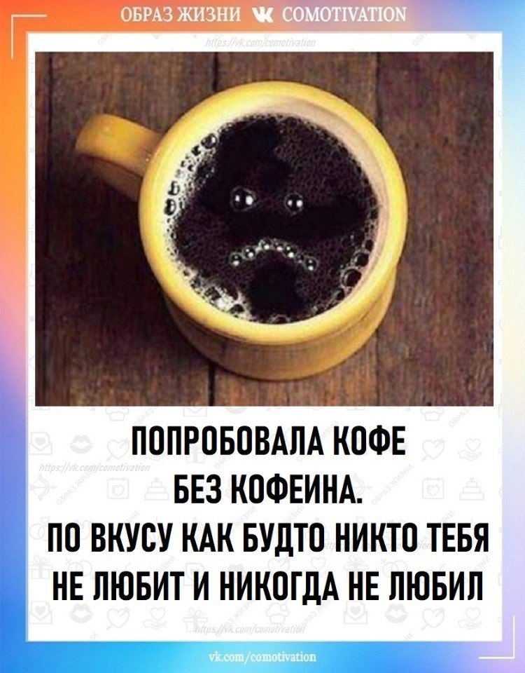 Co-Motivation.... . - 16  2025  12:05