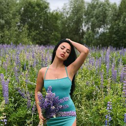 , 27, 