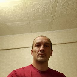 , 37, 