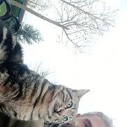 Murat, 41 ���, ������