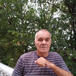 , 71, 