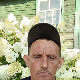 , 45, 