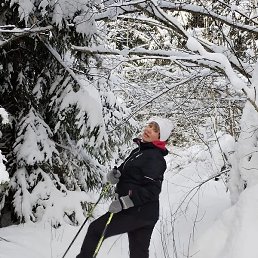 ����, ������