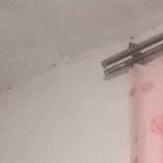 ����, 46 ���, �����������