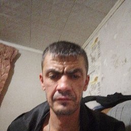 ������, 40 ���, �����