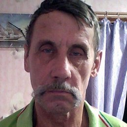 �������, ������, 66 ���