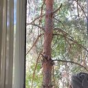 ���� ����������� �����, ������, 46 ��� - ��������� 19 ���� 2024