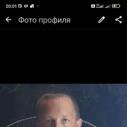 , 37, 