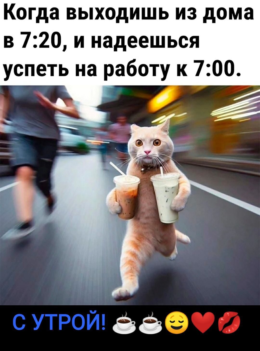 ***Victoria Viktorovna*** - 8  2024  05:07
