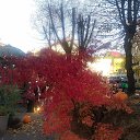 ���� �����, ������ ��������, 40 ��� - ��������� 27 ������ 2025 � ������ ���� ����������