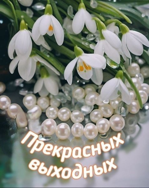   - 13  2025  13:29