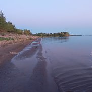 �����, 39 ���, ������