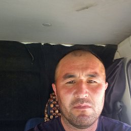 , 34, 