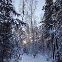 ���� ����, �������, 44 ���� - ��������� 2 ������ 2026 � ������ ���� ����������