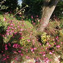 ���� Iga, ������� - ��������� 24 ������ 2024 � ������ �������,��������...�