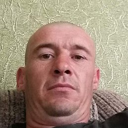 �������, �����, 36 ���