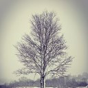 ���� Benvolio, ��������, 42 ���� - ��������� 28 ������� 2025 � ������ ������ ��������