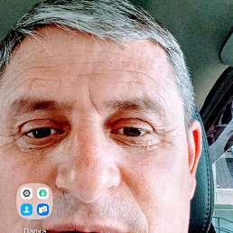 ����, 42 ����, ���������