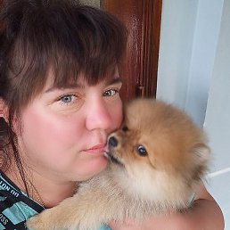 ����������, ������