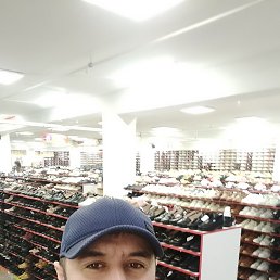, 36, 