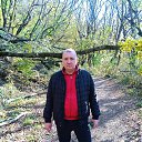 ���� �������, ���������, 47 ��� - ��������� 27 ������� 2024 � ������ ���� ����������