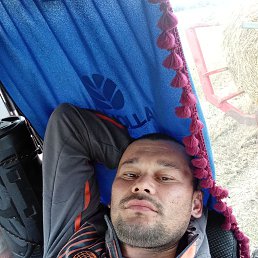 , 29, 