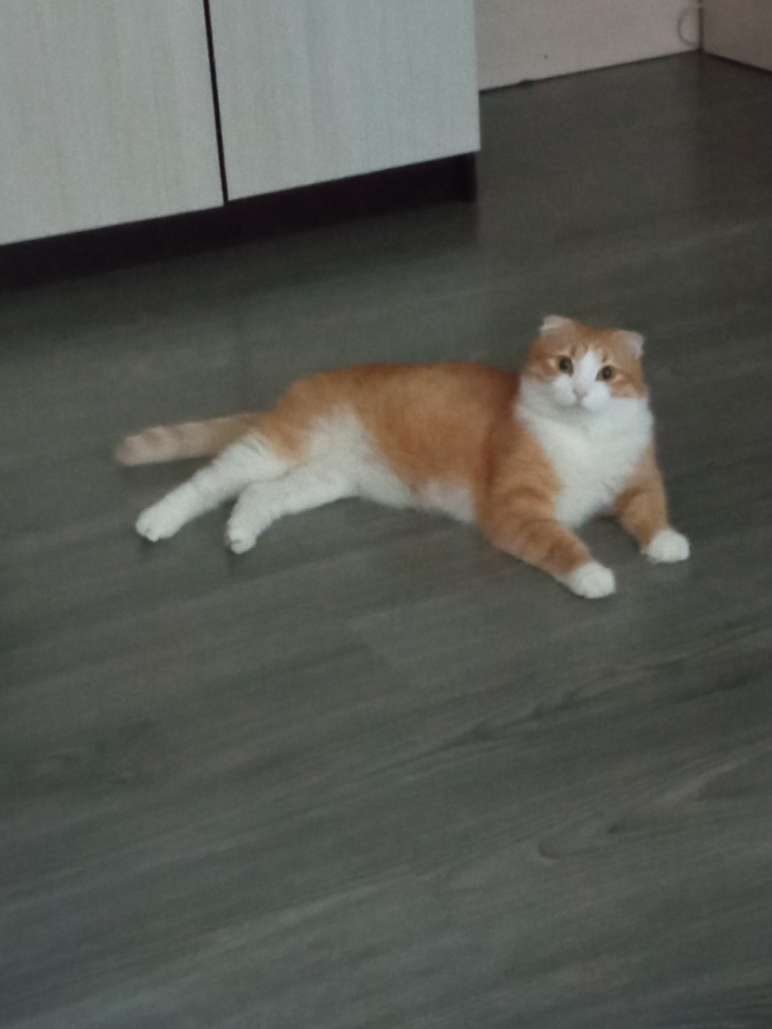 ������ �������� - 4 ������� 2025 � 12:01