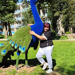 ���� ���������, ��������, 61 ��� - ��������� 4 ������ 2025