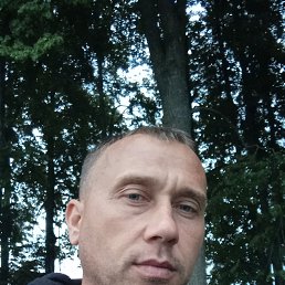 , 37, 