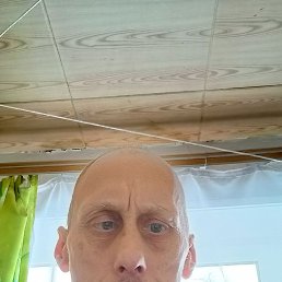 ���� �����, ������, 54 ���� - ��������� 29 ������ 2024