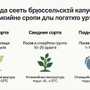 ���� ��������, �����, 60 ��� - ��������� 12 ������� 2026 � ������ ������ ��������